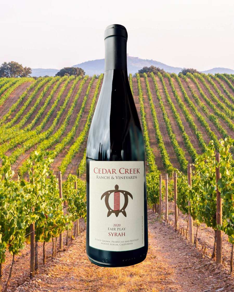 2020 Syrah NEW Release