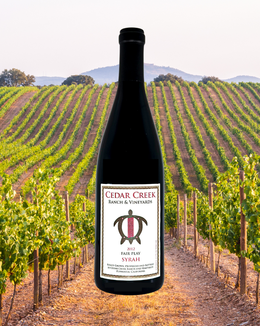 2017 Syrah RESERVE